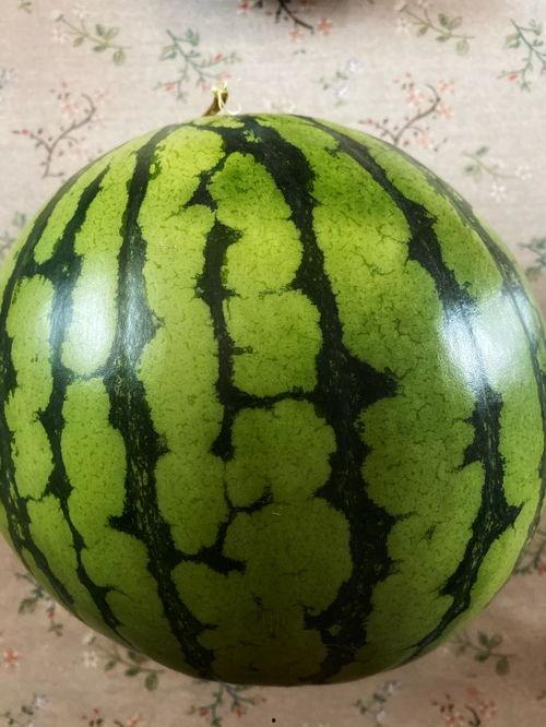 广西演艺吃瓜事件,吃瓜群众揭秘幕后真相